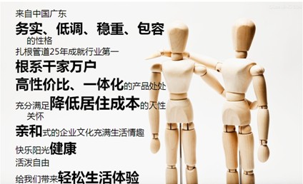天進(jìn)品牌戰(zhàn)略咨詢-品牌咨詢服務(wù)_品牌營(yíng)銷策劃
